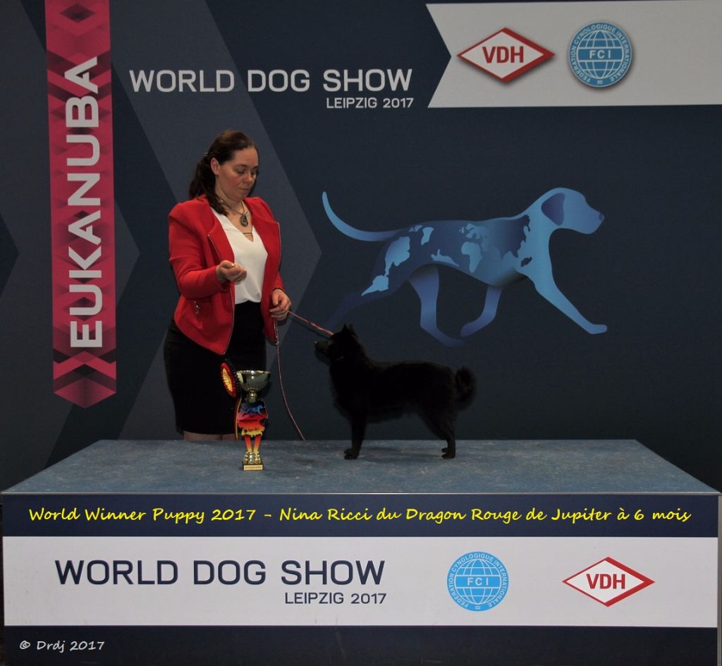 du dragon rouge de jupiter - World Dog Show 2017 à Leipzig