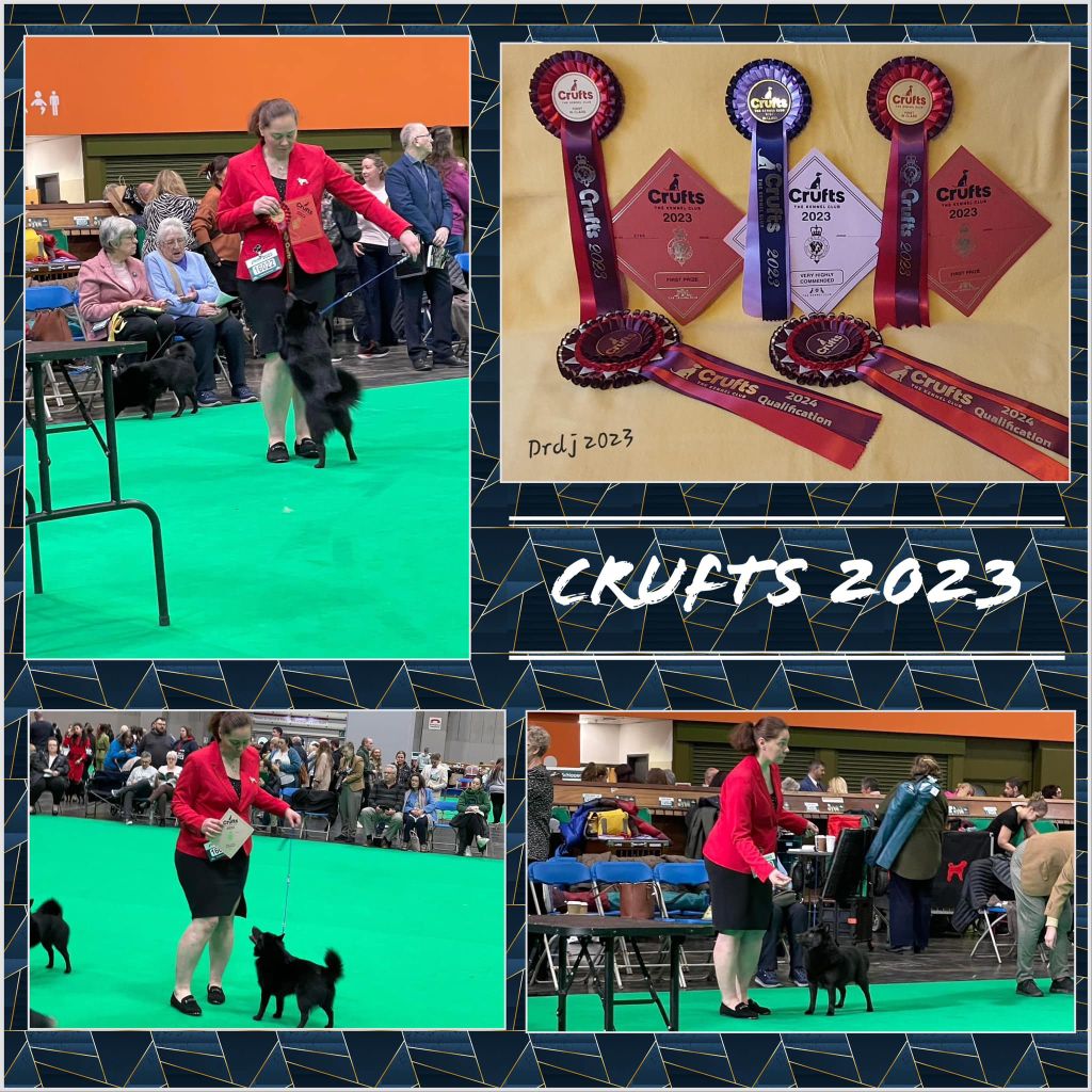 du dragon rouge de jupiter - Crufts 2023 