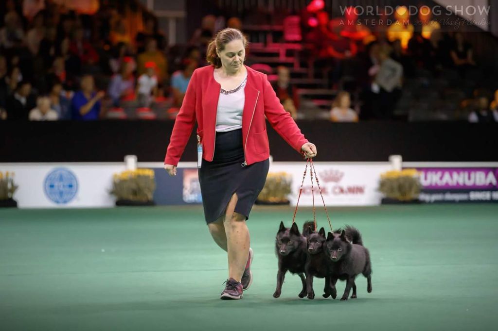 du dragon rouge de jupiter - World Dog Show Amsterdam 2018