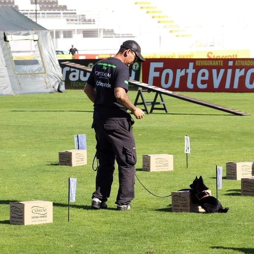 du dragon rouge de jupiter - Championnat de Police au Brésil recherches Stupéfiants 2019