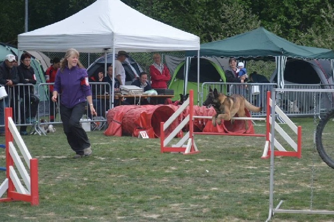 du dragon rouge de jupiter - Sélectif et Championnat Régional Agility