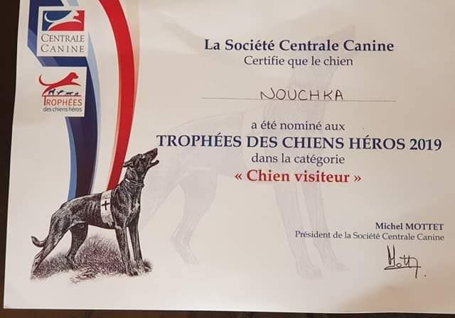 du dragon rouge de jupiter - Trophées des Chiens Héros SCC 2019