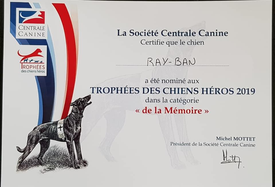 du dragon rouge de jupiter - Trophées des Chiens Héros SCC 2019