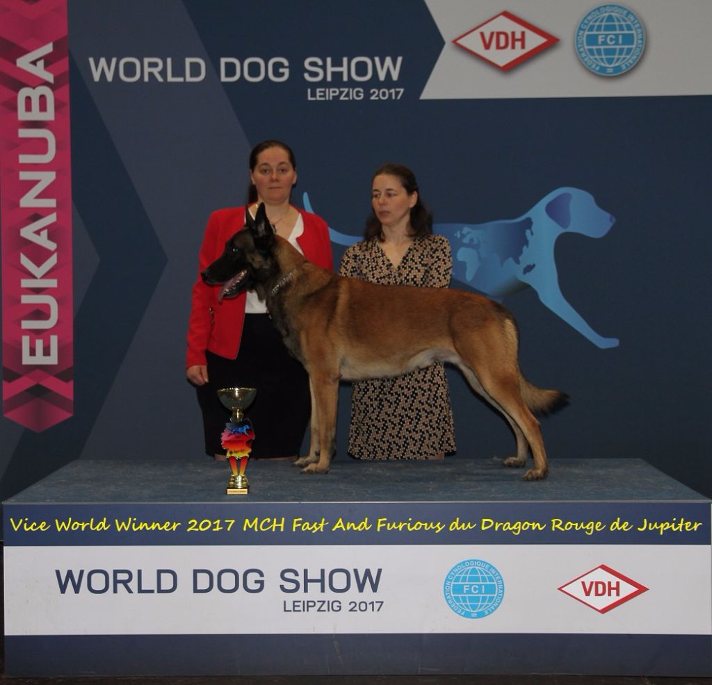 du dragon rouge de jupiter - World Dog Show 2017 à Leipzig