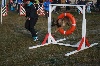  - Fyrkat en Agility 