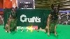  - Crufts 2018