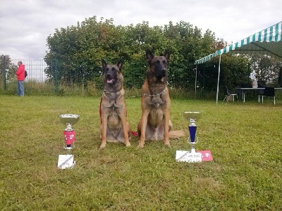 du dragon rouge de jupiter - DOUBLE CAC - CACIB A BEAUVAIS 2013