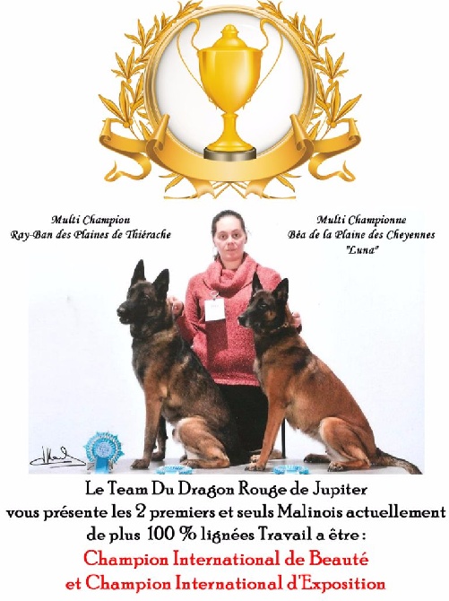 du dragon rouge de jupiter - On l'a fait, le TOP du TOP 