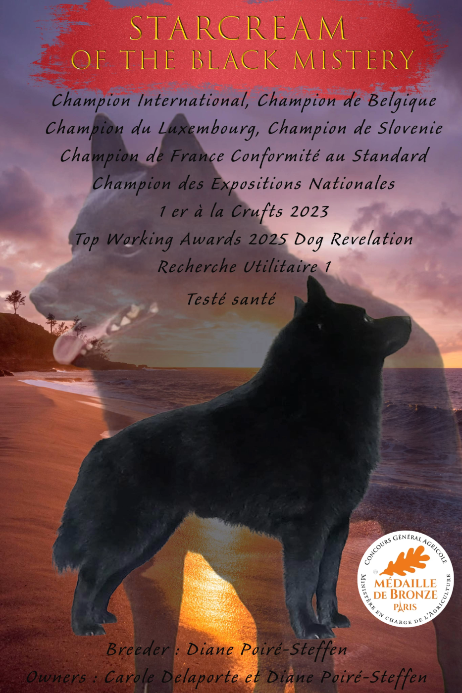 CH. Starscream of the black Mistery