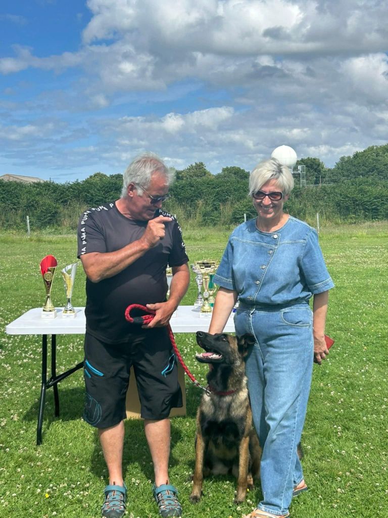 Voltige du dragon rouge de jupiter