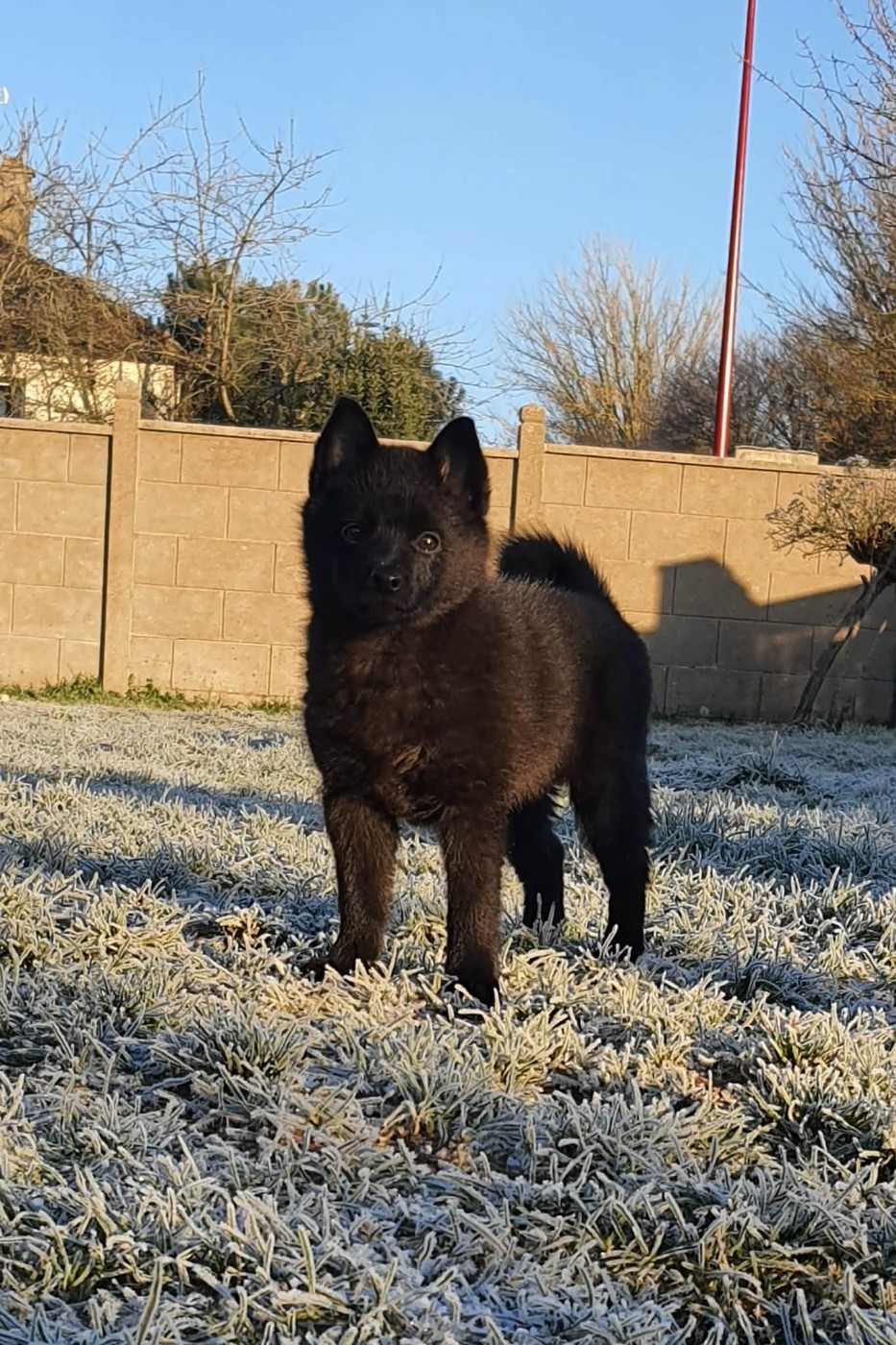 A Little Star Rhéa Ripley du dragon rouge de jupiter