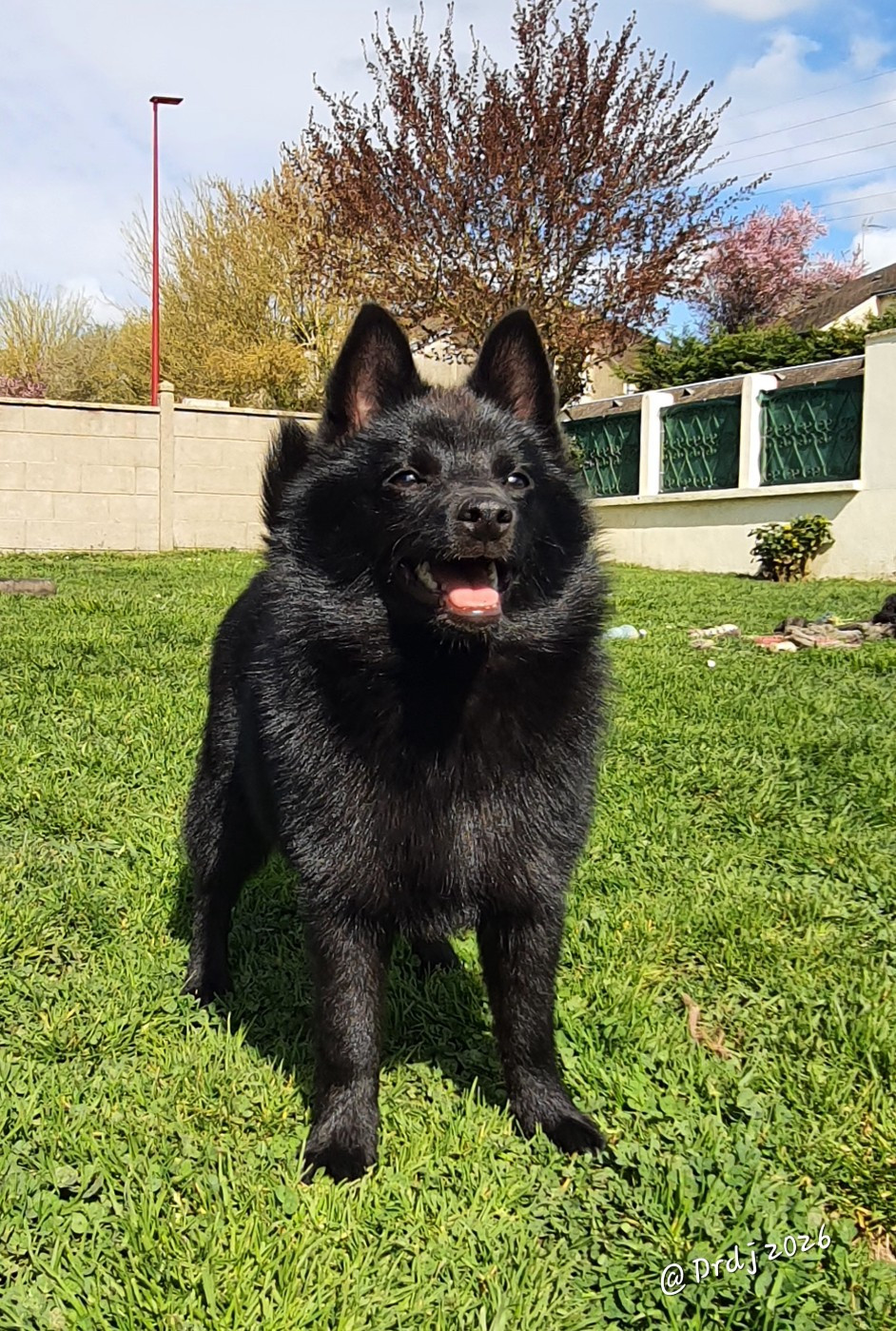 A Little Star Rhéa Ripley du dragon rouge de jupiter