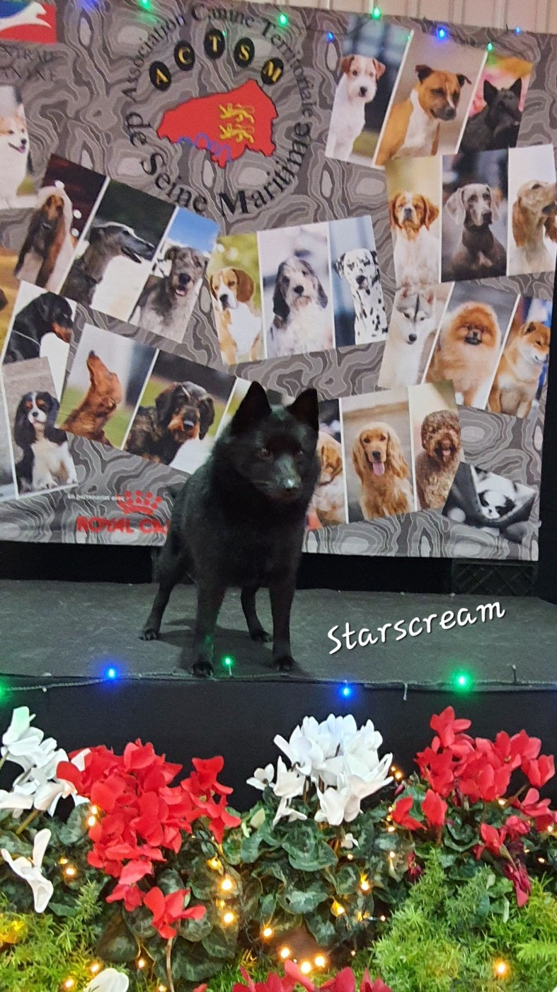 du dragon rouge de jupiter - 2 Nouveaux Titres de Champion ce Week-end à Rouen