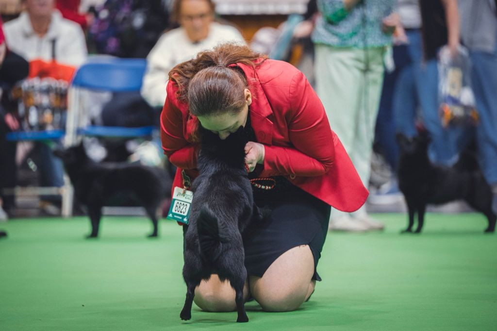 Résumé de l'année 2025 pour le TEAM DRDJ