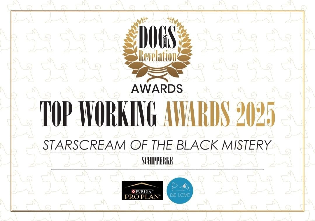 2ème Année Consécutives TOP WORKING AWARDS