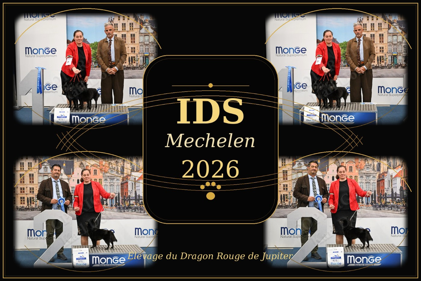 IDS Mechelen 2026 Belgique