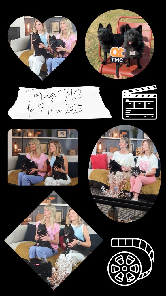Tournage pour TMC le 17 juin 2025