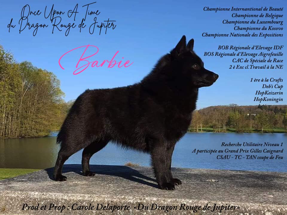 Un nouveau titre de Champion pour Barbie 