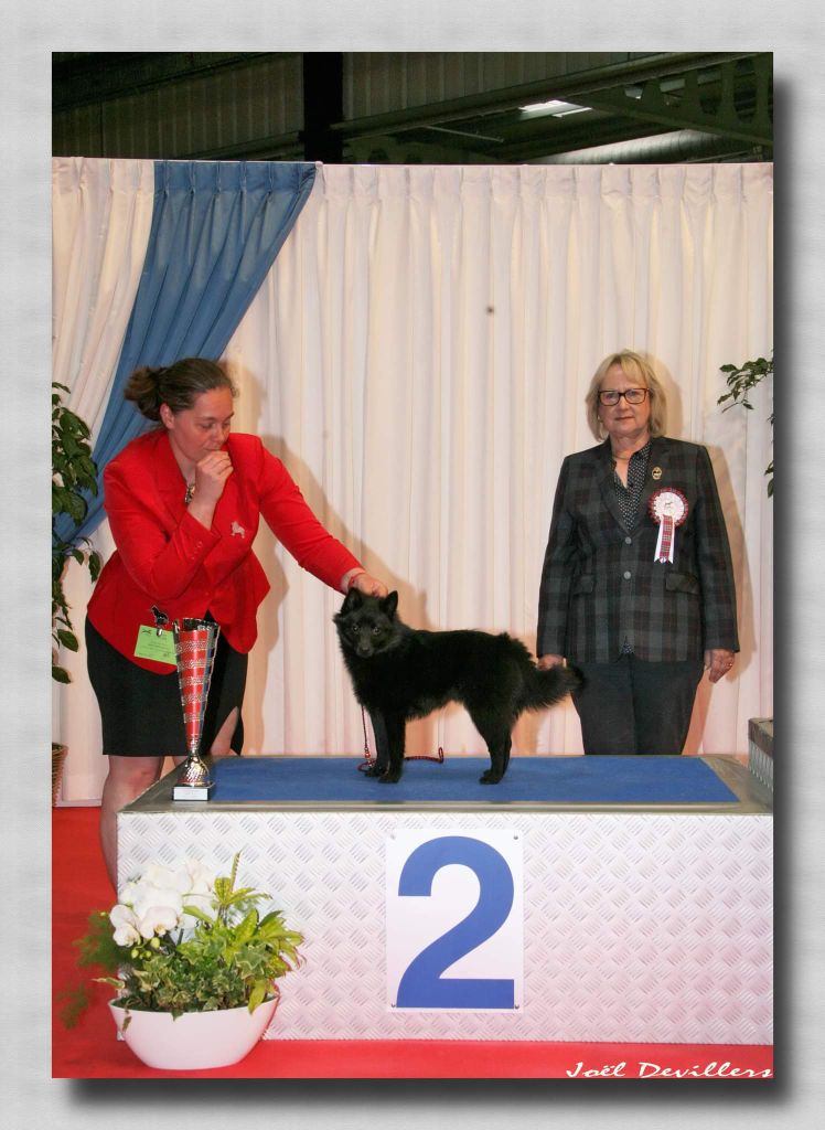 du dragon rouge de jupiter - Double IDS LUXEMBOURG 2022