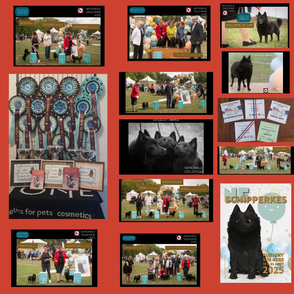 Nationale d'Elevage du Schipperkes Club de France